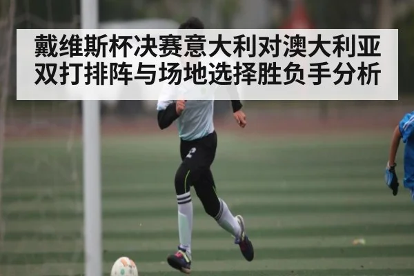 戴维斯杯决赛意大利对澳大利亚双打排阵与场地选择胜负手分析