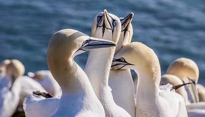 盛世娱乐官网-再次逆转 中国男篮取得世预赛两连胜